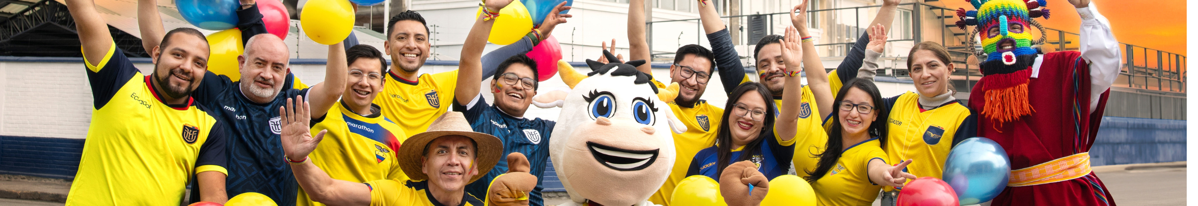 Imagen institucional